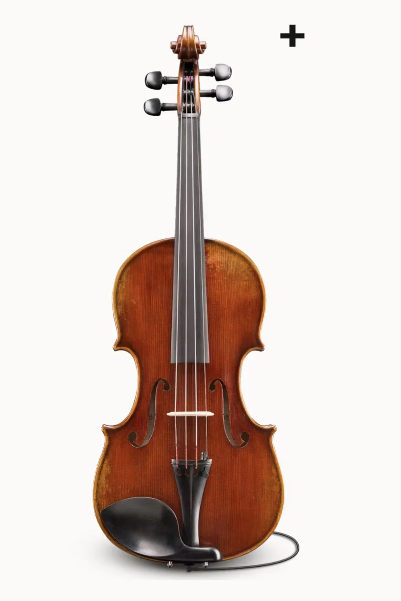 Fiumebianca M-80 1/4 　弓　SAMUEL EASTMAN Eastman - Violin - VL80
